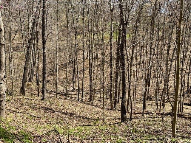 Land for sale in Scott Depot, West Virginia