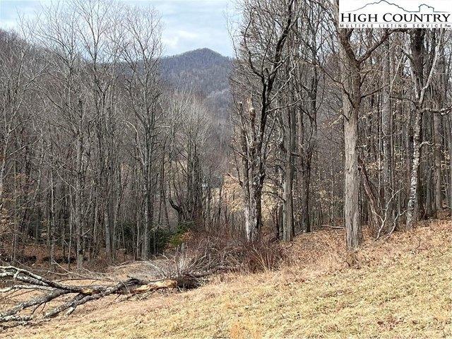 Land for sale in Watauga, North Carolina