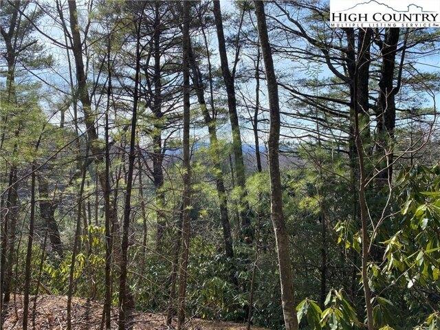 Land for sale in Boone
