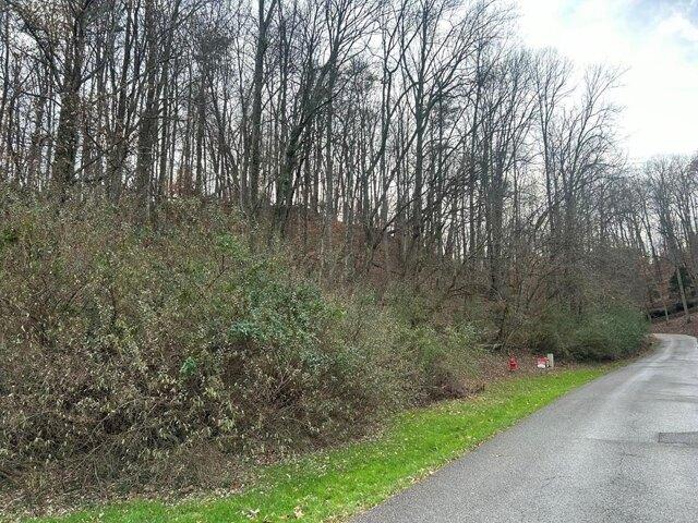 Land for sale in Pikeville