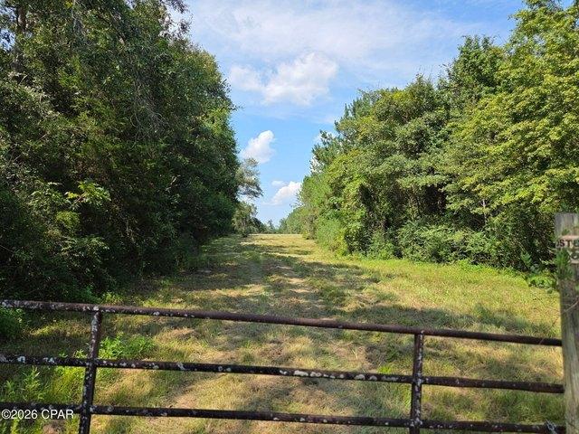 Land for sale in Bonifay, Florida