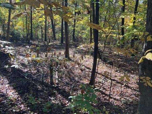 Land for sale in Albemarle, North Carolina