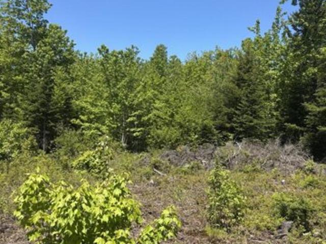 Land for sale in Hancock, Maine