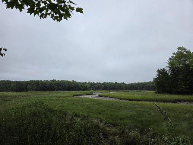 Land for sale in Milbridge, Maine