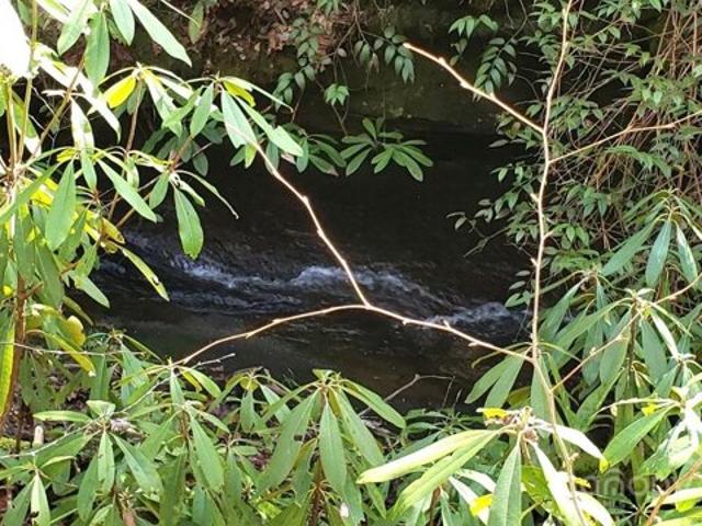 Land for sale in Brevard