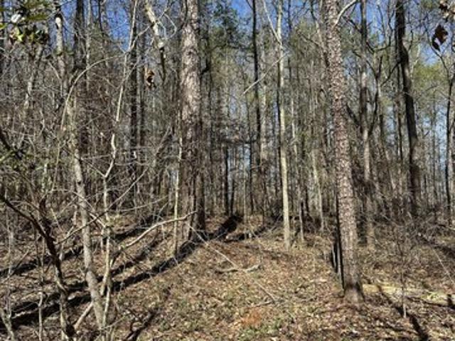 Land for sale in Carnesville, Georgia