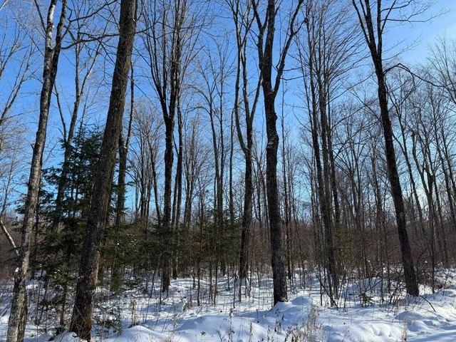 Land for sale in Merrill, Wisconsin