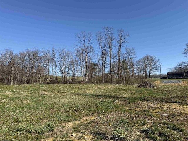 Land for sale in Bruceton Mills, West Virginia