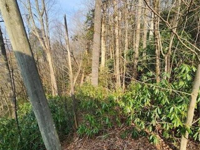 Land for sale in Avery, North Carolina