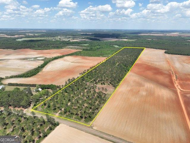 Land for sale in Byromville, Georgia