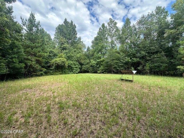 Land for sale in Marianna, Florida