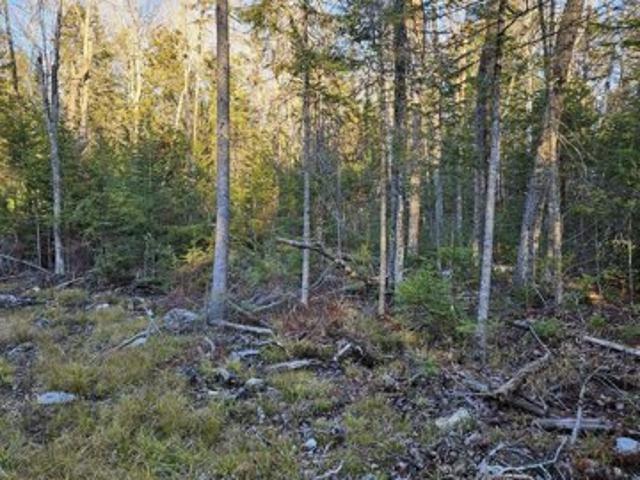 Land for sale in Old Town, Maine