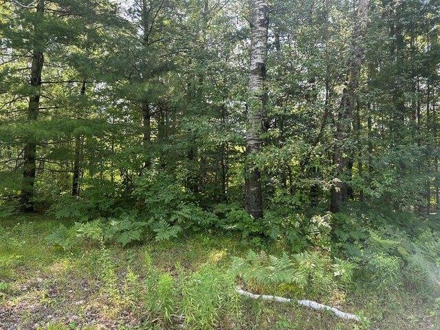 Land for sale in Clare, Michigan