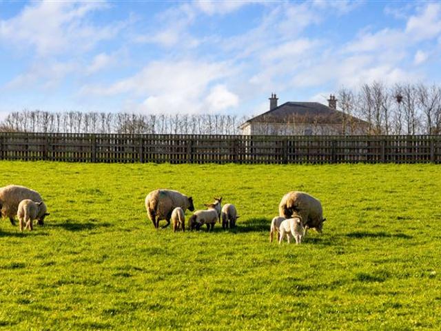 Cottage for sale in Durrow