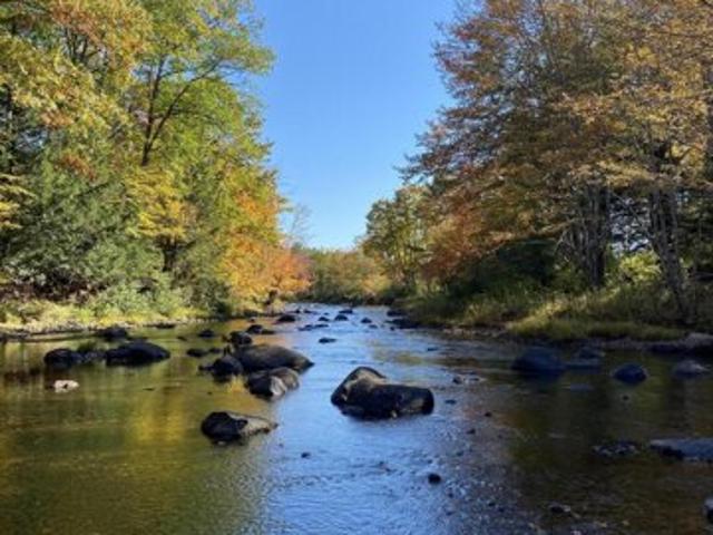 Land for sale in Maine