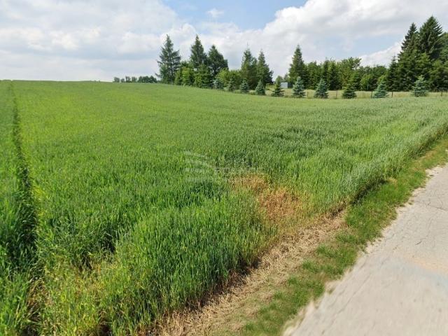 Grunt na sprzedaż w Małopolskie