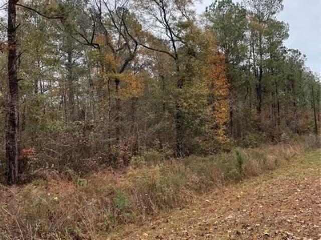 Land for sale in Maxton, North Carolina