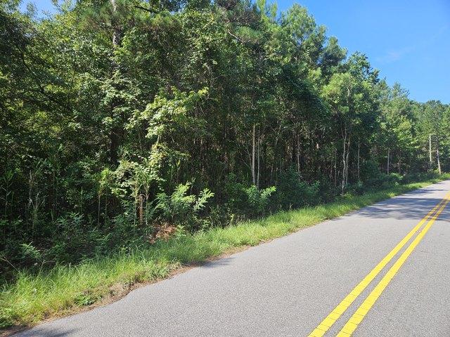 Land for sale in Awendaw, South Carolina