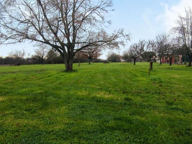 Terrain vente à Libourne, Porchères