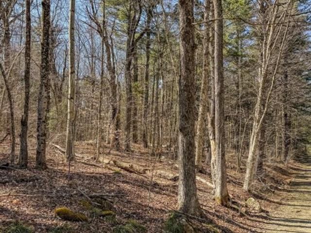 Land for sale in Becket Land for sale in Becket