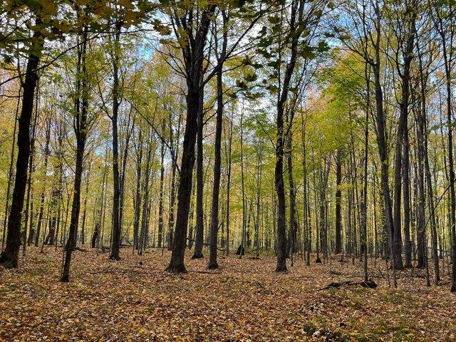 Land for sale in Wisconsin