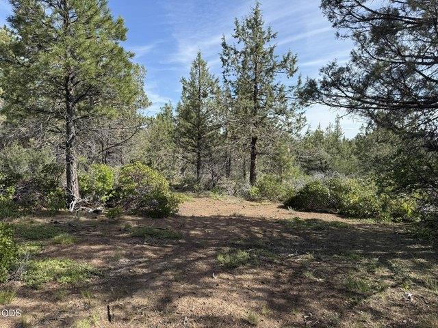 Land for sale in Oregonia