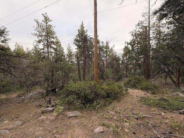 Land for sale in Oregonia