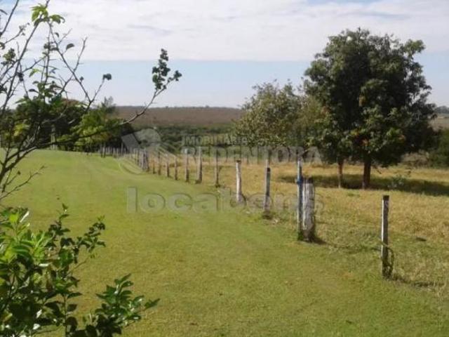 Sítio e chácara venda em Região Imediata de São José do Rio Preto, Região Metropolitana de São José do Rio Preto