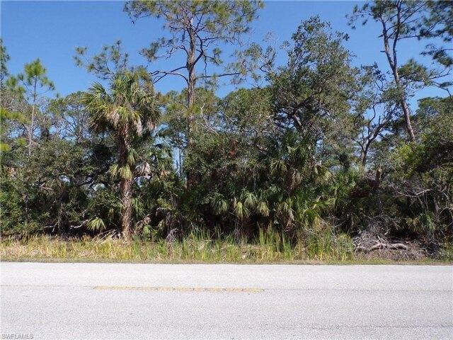 Land for sale in Florida