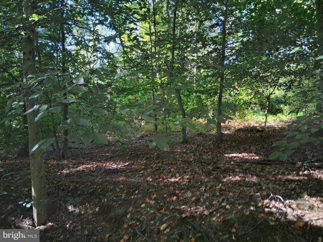 Land for sale in Cecil, Maryland
