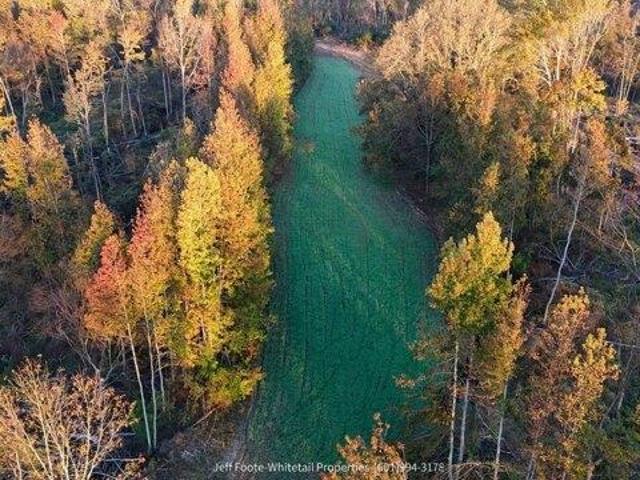 Land for sale in Mississippi