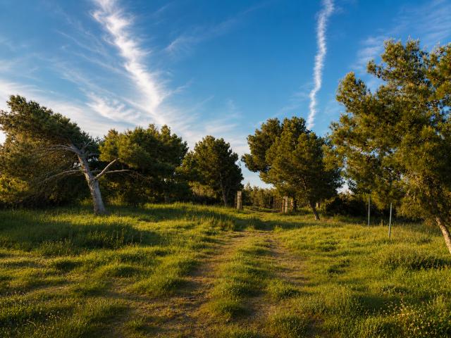 Terrain vente à Narbonne, Port-la-nouvelle
