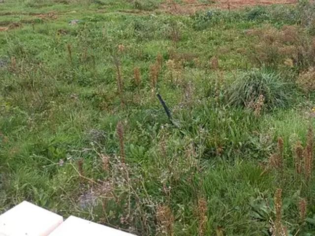 Terrain vente à Nantes, Port-saint-père