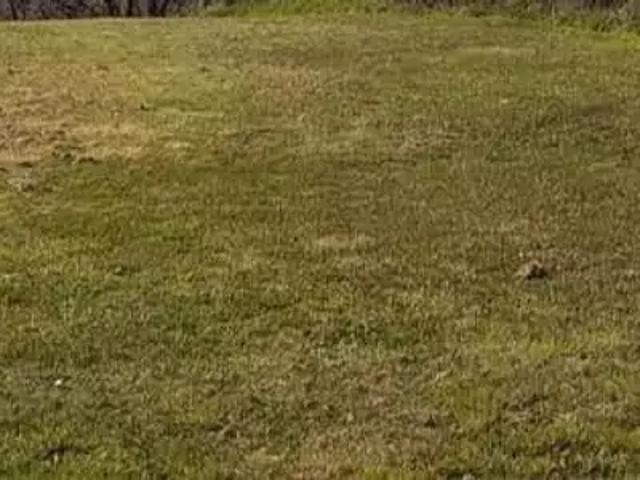 Terrain vente à Nantes, Port-saint-père