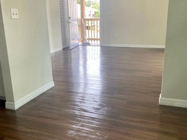 Apartment for rent in Tampa, Florida