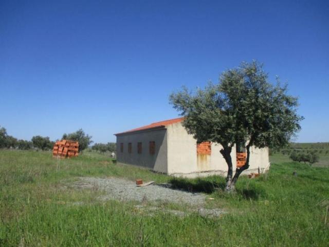 Terreno venda em Alter Do Chão, Portalegre