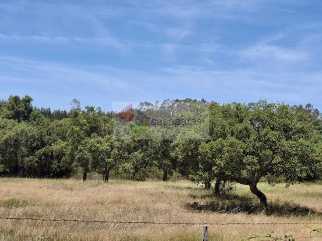 Terreno venda em Cunheira, Alter do Chão