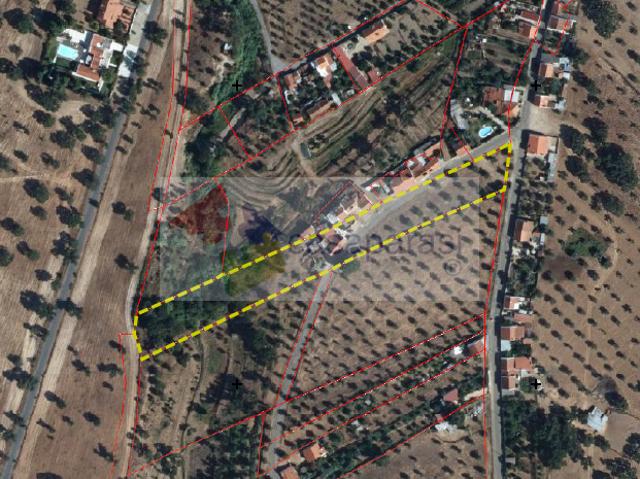 Terreno venda em Ponte de Sor