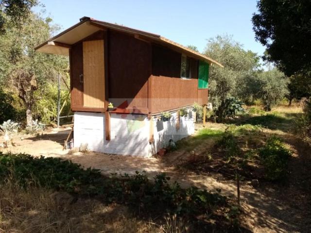 Terreno venda em Ponte De Sor, Portalegre