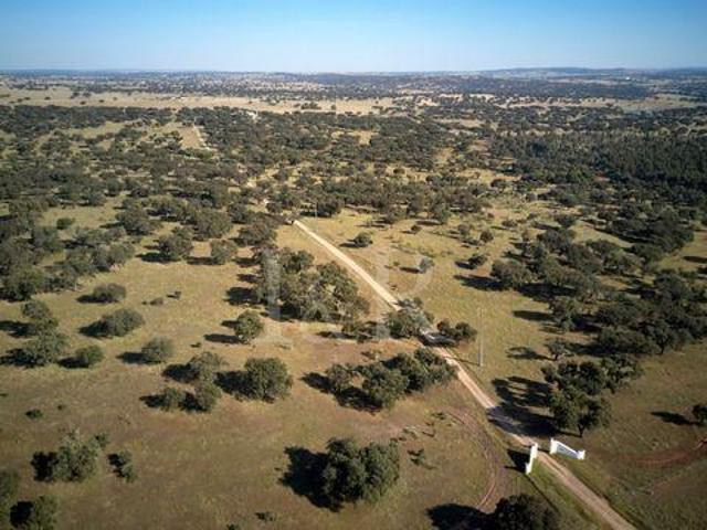 Terreno venda em Estremoz, Évora