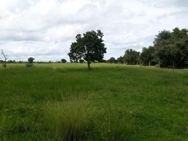 Sítio e chácara venda em Região Geográfica Imediata de Barra do Garças, Araguaiana