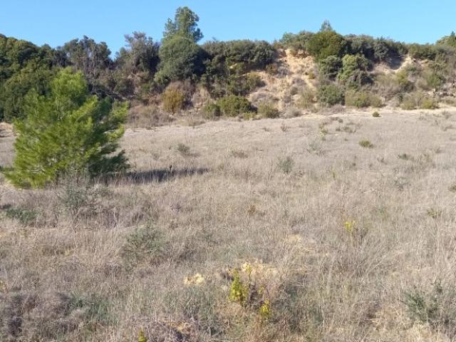 Terrain vente à Narbonne, Portel-des-corbières