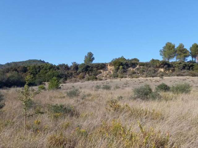 Terrain vente à Narbonne, Portel-des-corbières
