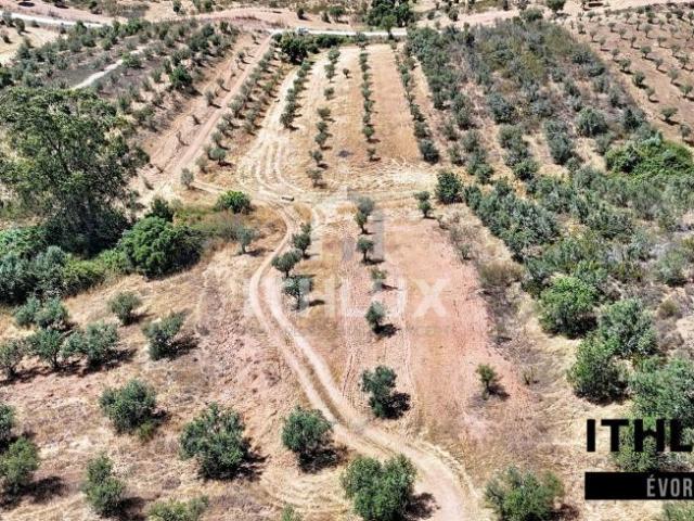 Terreno venda em Portel, Évora