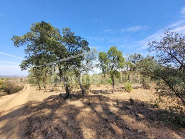 Terreno venda em Santana, Portel