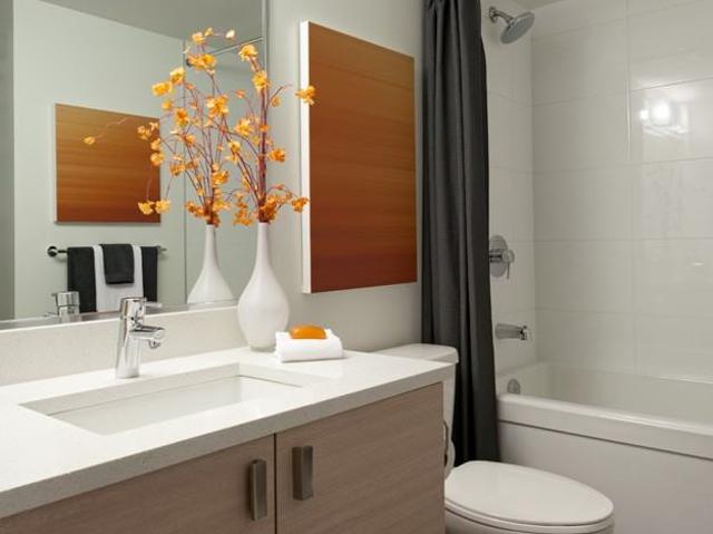 Apartment for rent in Vancouver, British Columbia