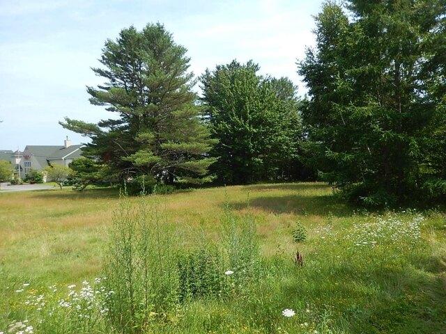 Land for sale in Waldo, Maine