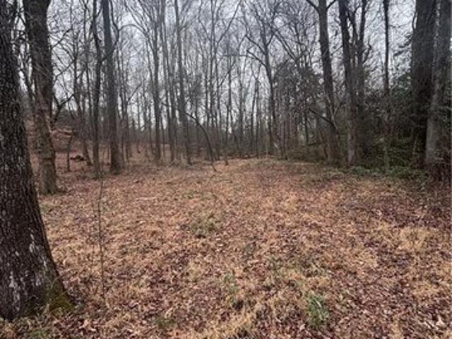 Land for sale in Banks, Georgia