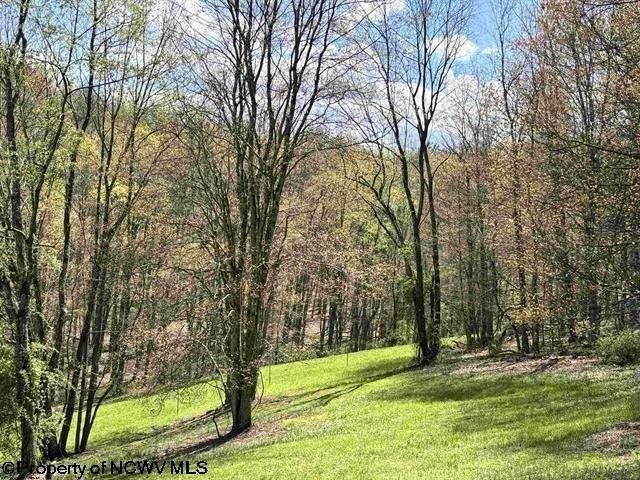 Farm for sale in Moatsville, West Virginia