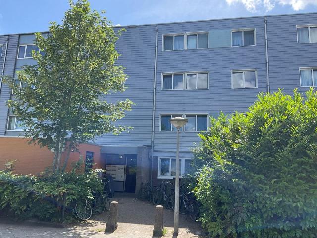 Woning te huur in Noord, Amsterdam